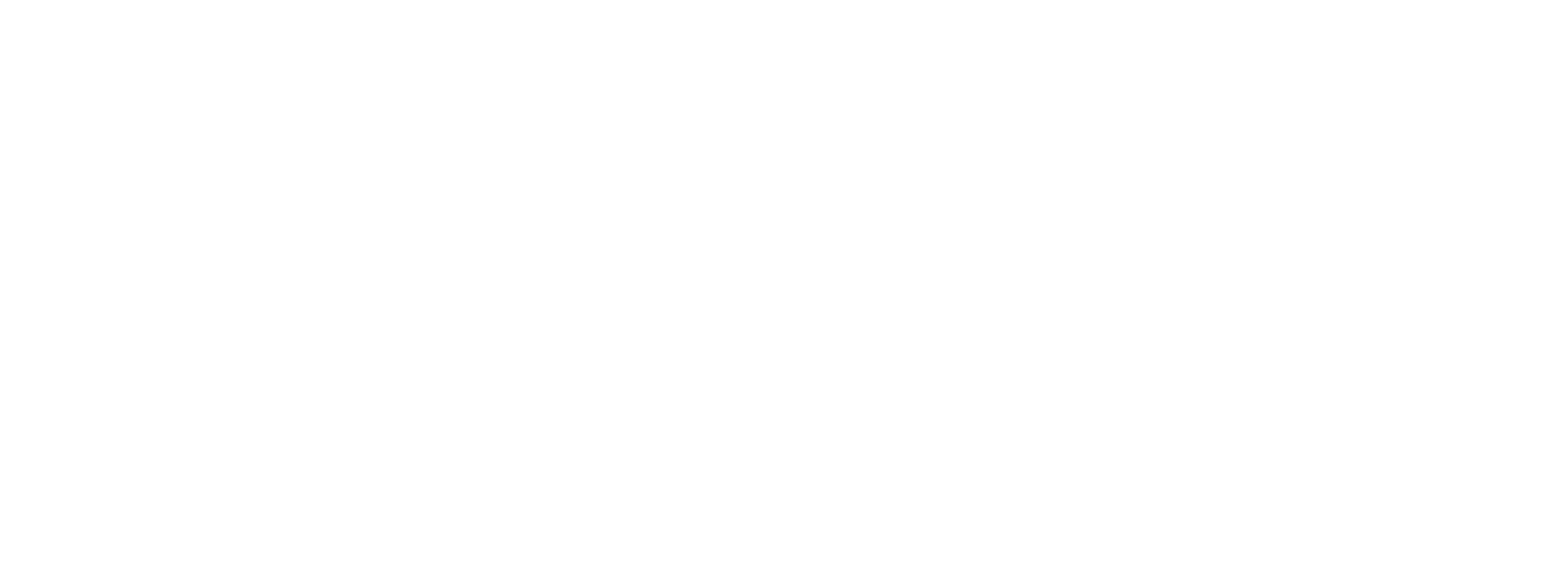 Solves problems and innovates