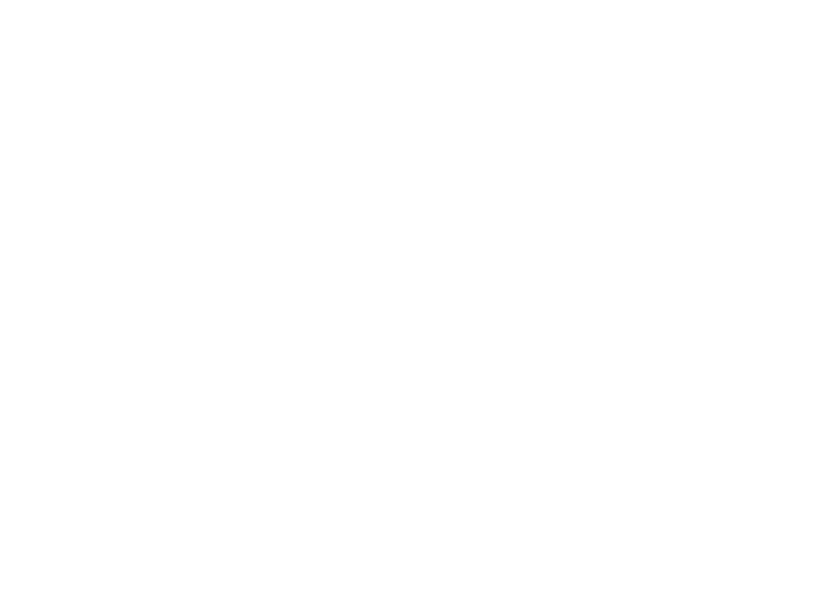 Solves problems and innovates